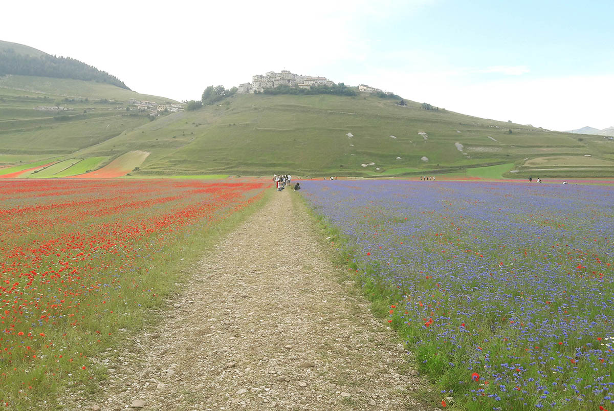 Guida turistica Castelluccio di Norcia